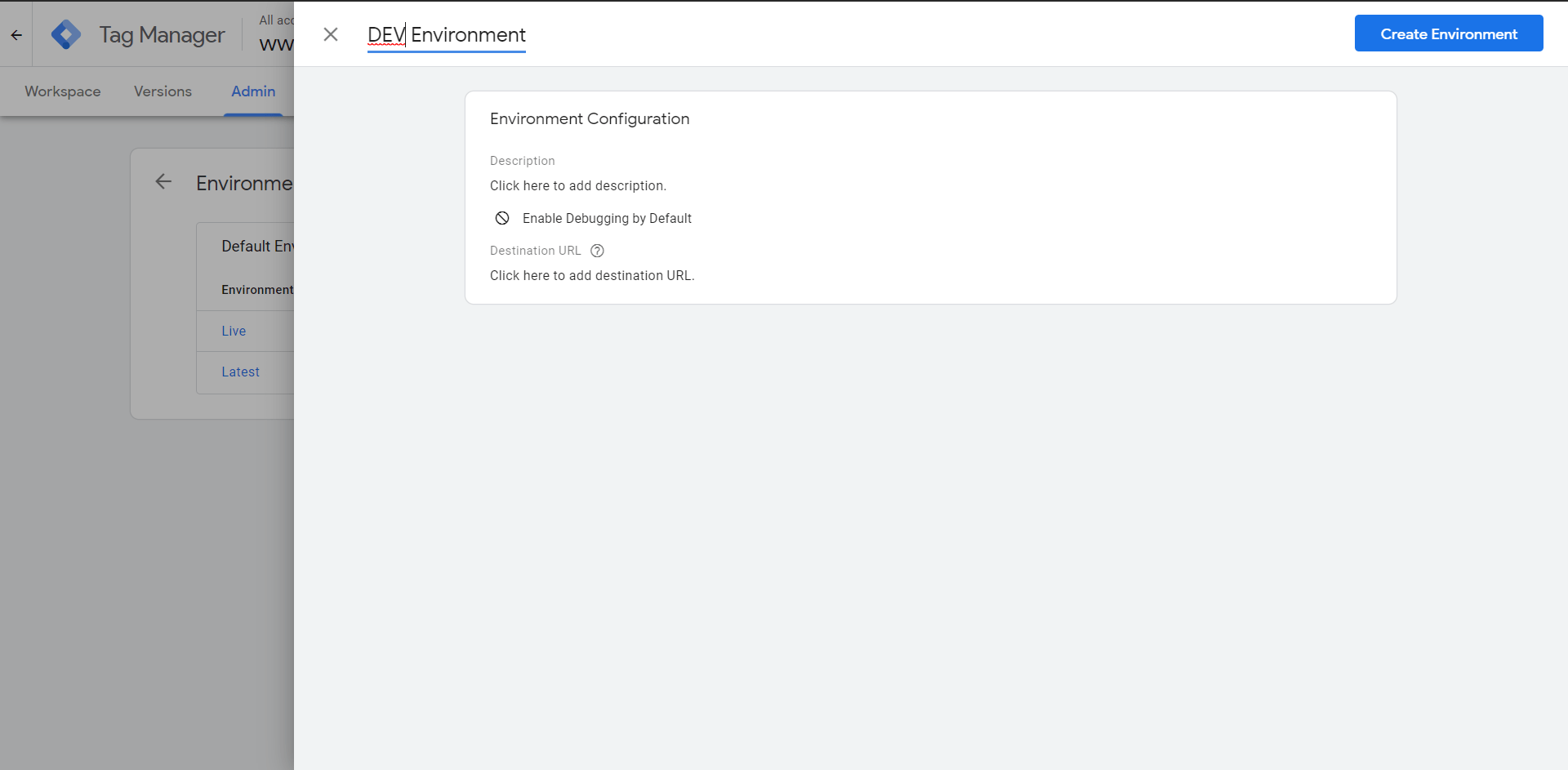 adding tag manager to dev site 2
