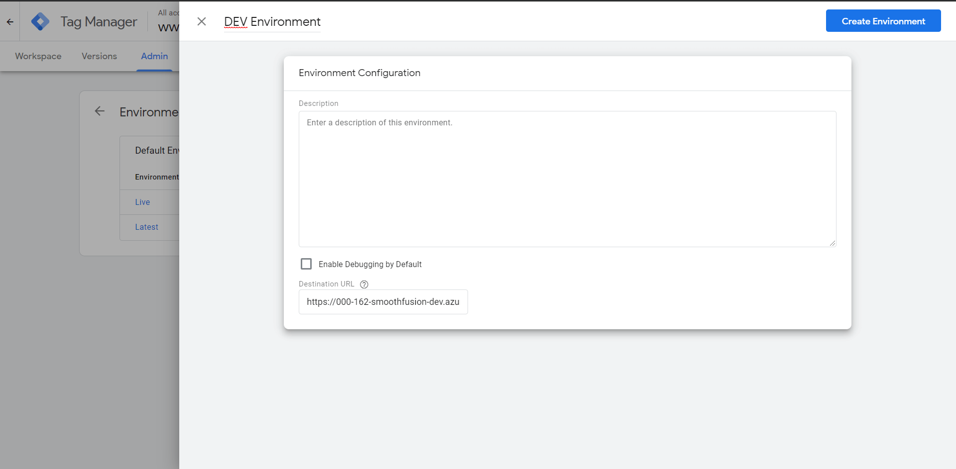 adding tag manager to dev site 3