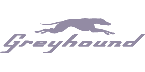 greyhound greyhound
