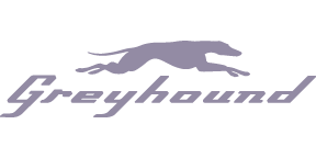 greyhound